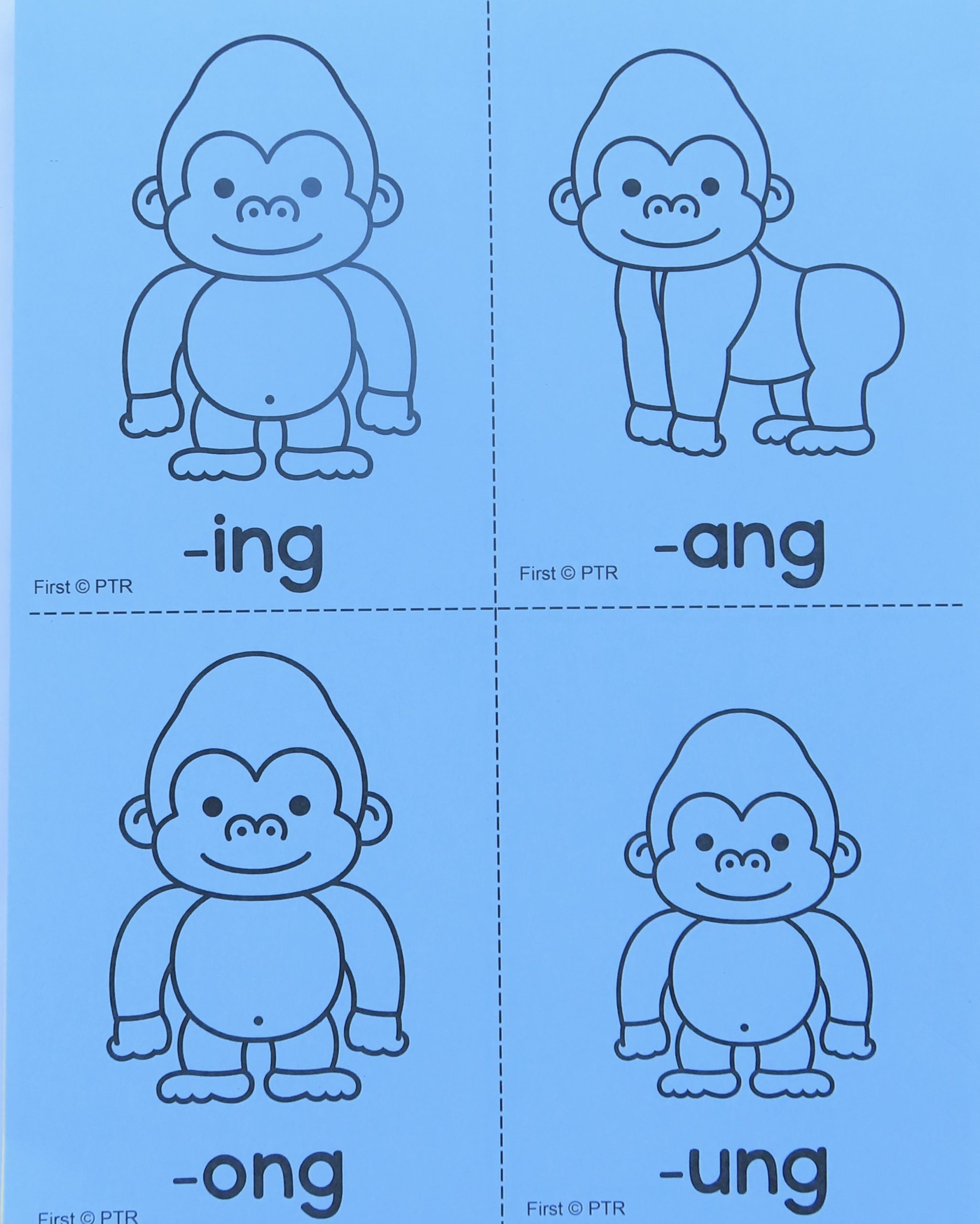 First Grade Flash Card Packet